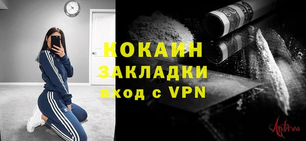 СК Вязьма