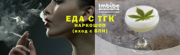 СК Вязьма