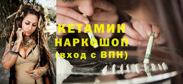 СК Вязьма