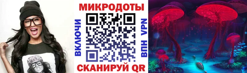 Псилоцибиновые грибы MAGIC MUSHROOMS  Дигора 